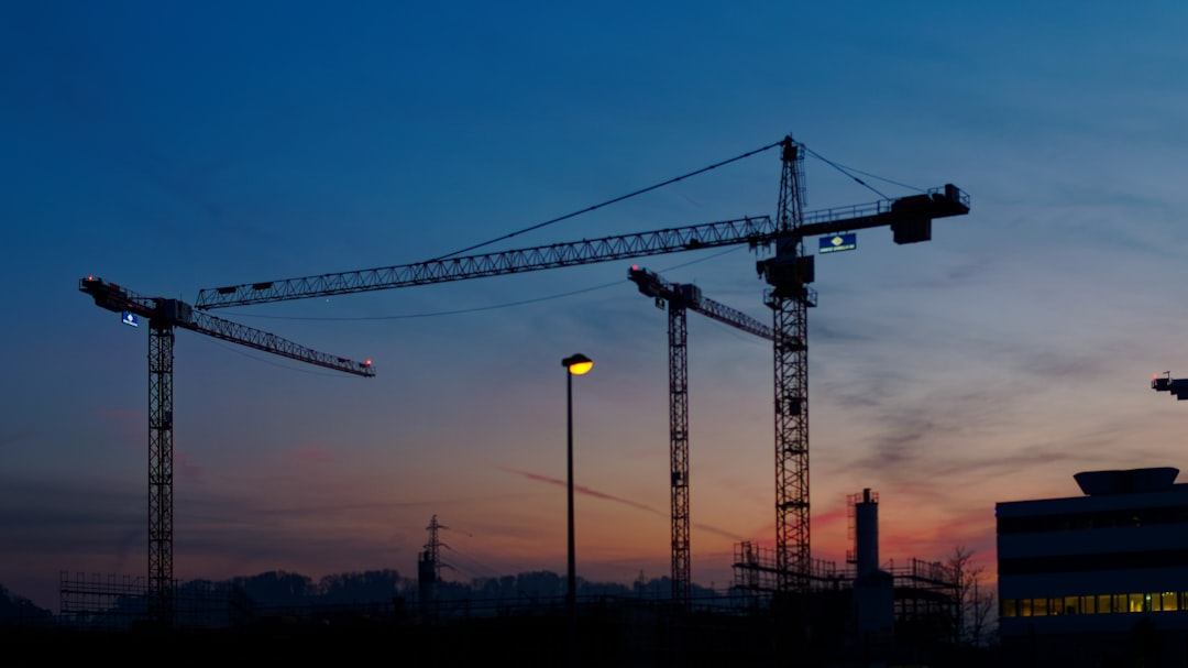 a group of cranes are silhouetted against the evening sky